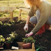 How Brits can save money using their garden, according to experts .