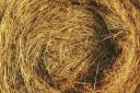 Stock image of a bale of hay