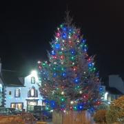 Melrose Christmas Tree Photo John Hislop