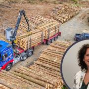 Timber being loaded to get to market. INSET: Rural affairs secretary Mairi Gougeon