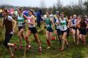 Gala Harriers women were in contention throughout Saturday's race. Photos: Neil Renton