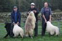 Manor Sheep Dog Trials