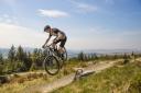 Some of the world’s best mountain bike riders will tackle Glentress Forest