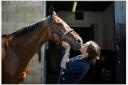 Racehorse trainers in Borders to open their doors to the public for free