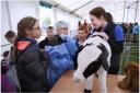 Border Union Agricultural Society’s tenth annual Schools Countryside Day