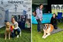 Therapet dog ‘Teddy’ with owner Alana, and Edinburgh Clinical Canine Massage