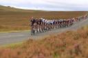 The peloton cross Lauder Common during the Tour of Britain in 2021. Photo: SBC