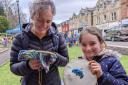 Community arts events delivered by Transform Arts CIC