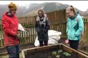 Alex Wilson (Project Manager) with Sydney Franks and Lorna Hyde (Students) at The Edible Garden