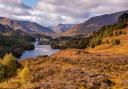 Glen Affric and Galloway Forest Park were among the best woodland areas in the UK