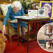 Corgi owners say community has ‘lost part of our world’ after Queen’s death