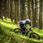 A Bosch driven eMTB in the forest