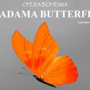 Opera Bohemia return to the MacArts  with Puccini’s masterpiece, Madama Butterfly