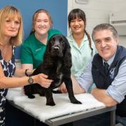 Percy with owner Gail Millar, veterinary nurse Jessica Snedden, student veterinary nurse  Amber Graham and clinical director Jim Ross