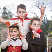 Picture: Jack 7, Nancy 2 and Ralph 5 RowlandsonTraquair House Halloween 2017, Scottish BordersWWW.IANGEORGESONPHOTOGRAPHY.CO.UK
