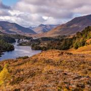 Glen Affric and Galloway Forest Park were among the best woodland areas in the UK