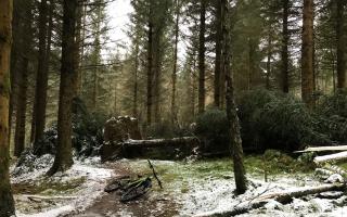 Damage to one of the trails at Glentress. Photo: Forestry and Land Scotland